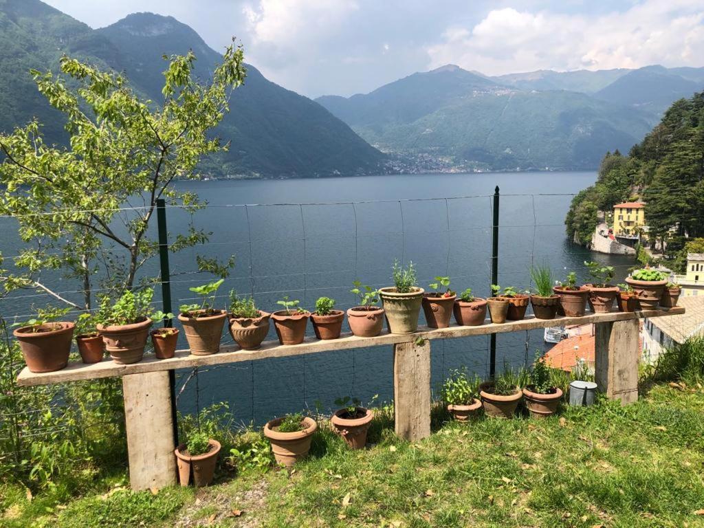 Gli Orti Della Civera " Cottagecore" Amazing View Nesso Exterior photo